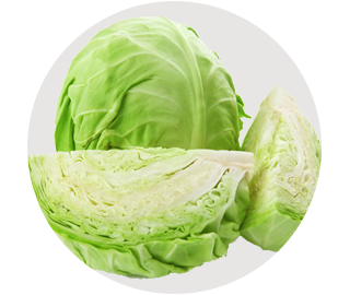 Cabbage