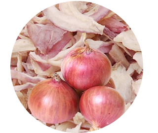 Pink Onion