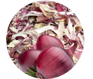 Red Onion