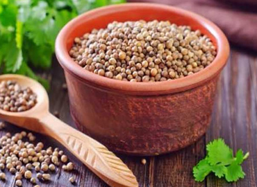 Coriander Seeds