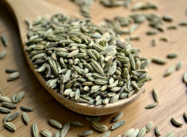 Fennel Seeds