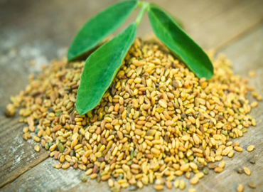 Fenugreek Seeds